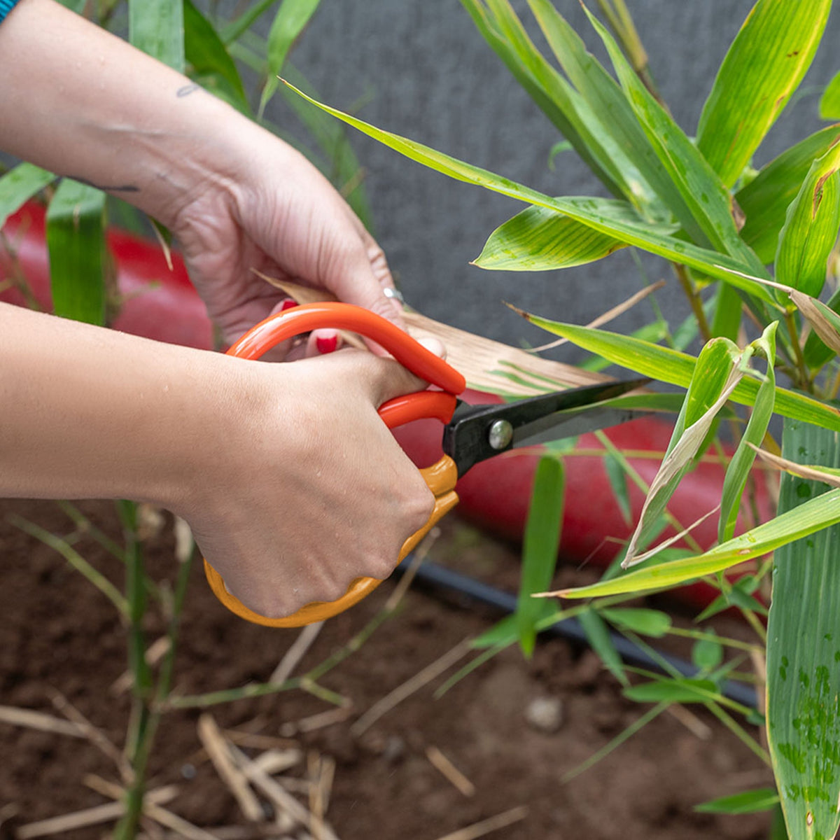 Straight Blade Pruning Snips – D Handle