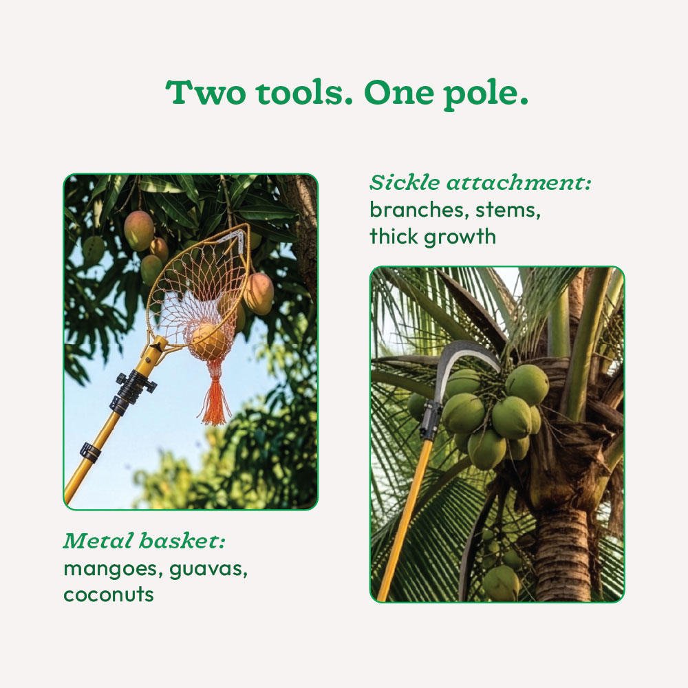 Telescopic Fruit Harvester Set (6–18 ft)