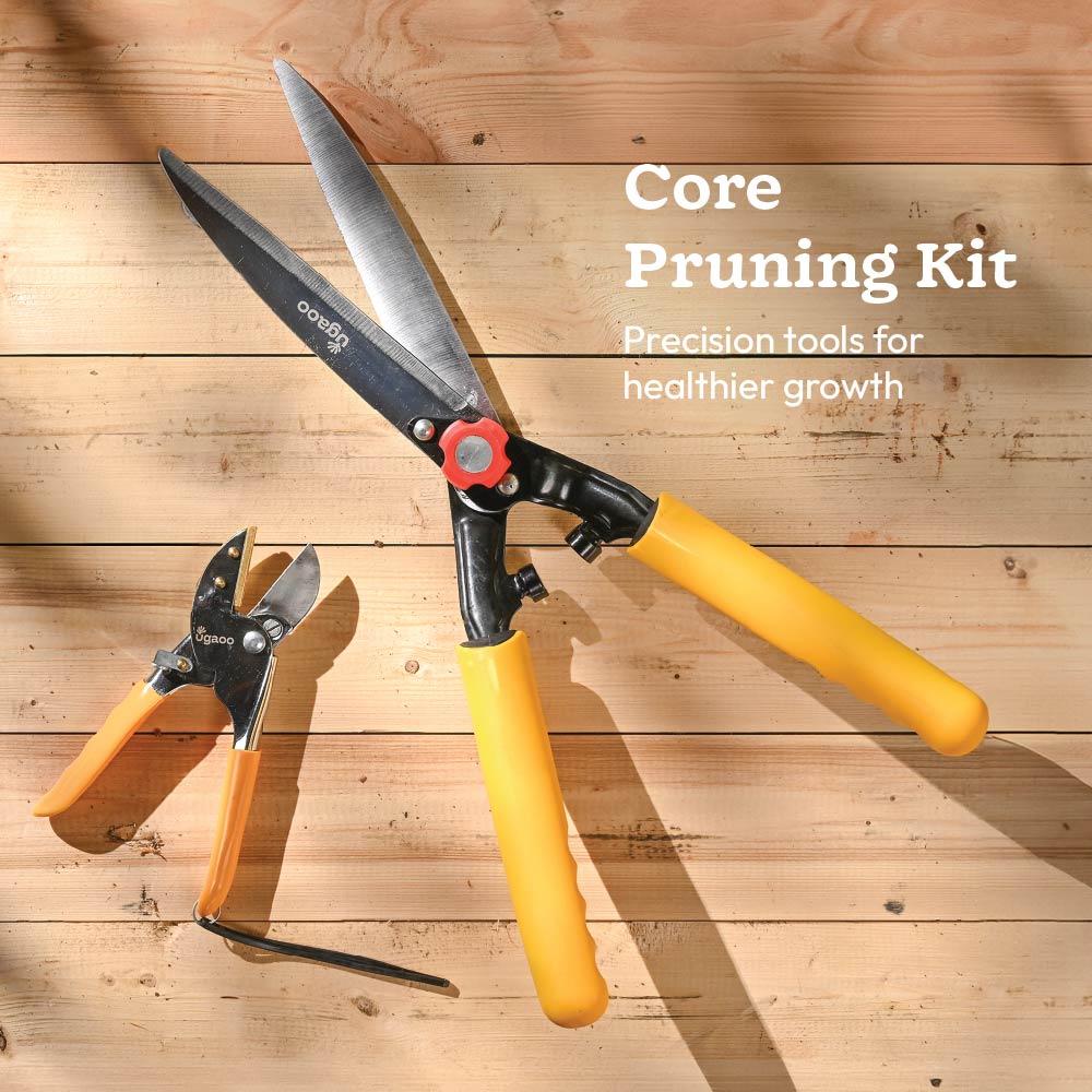 Core Pruning Kit – Hedge Shear + Anvil Pruner