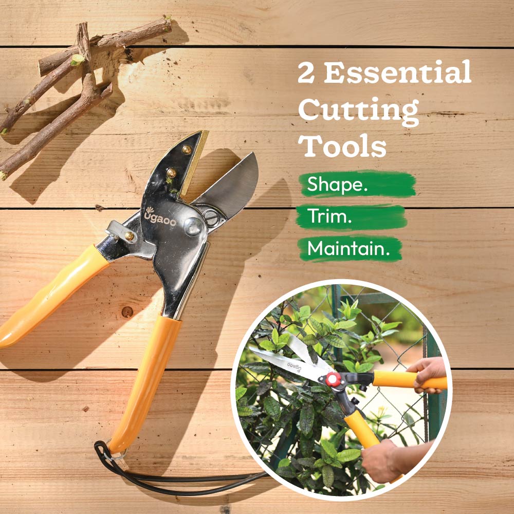 Core Pruning Kit – Hedge Shear + Anvil Pruner