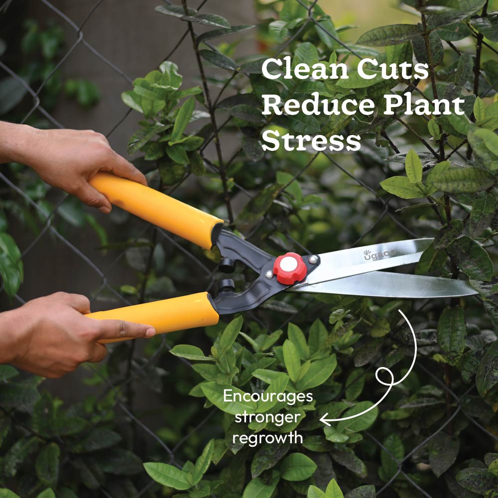 Core Pruning Kit – Hedge Shear + Anvil Pruner