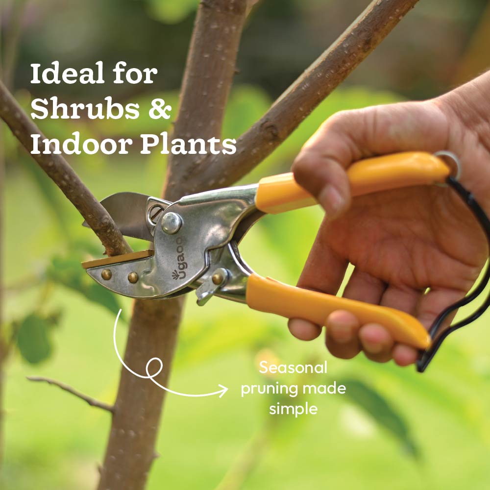 Core Pruning Kit – Hedge Shear + Anvil Pruner