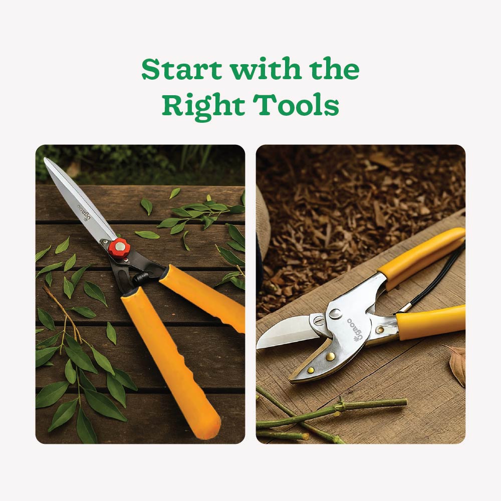 Core Pruning Kit – Hedge Shear + Anvil Pruner